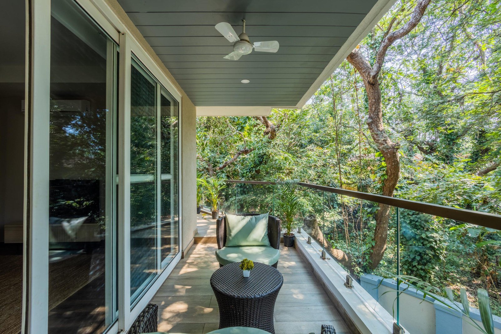 Rainforest Woods Assagao