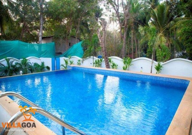 Luxury Villa Miracle