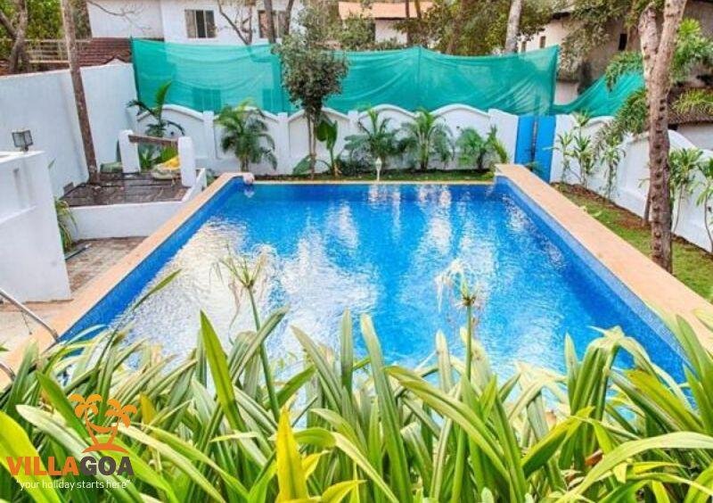 Luxury Villa Miracle